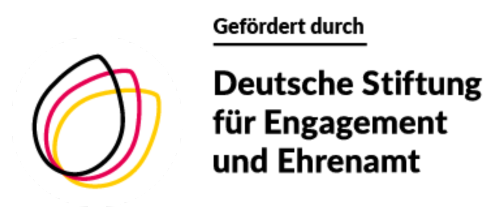 Logo of the Deutsche Stiftung für Engagement und Ehrenamt (DSEE), featuring an abstract illustration of a Strelitzia flower with three flowing lines in pink, yellow, and red, encircled by a thin black outline against a white circular background.